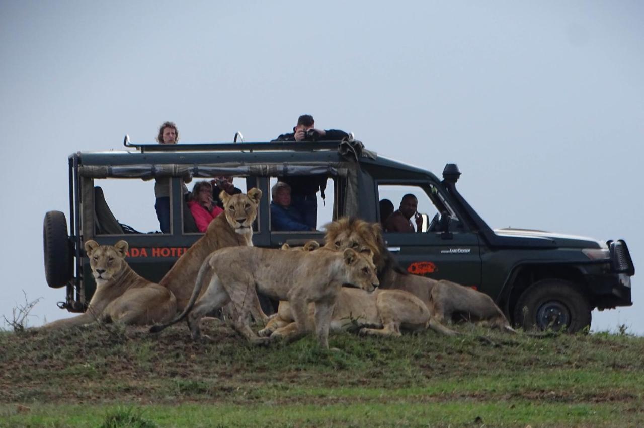 Fig Tree Camp - Maasai Mara Hotel Talek Eksteriør billede