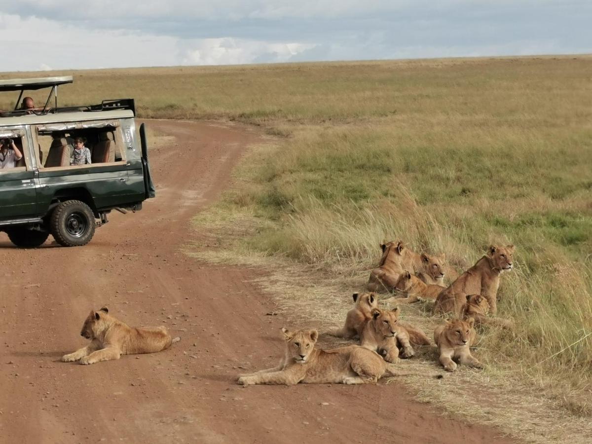 Fig Tree Camp - Maasai Mara Hotel Talek Eksteriør billede