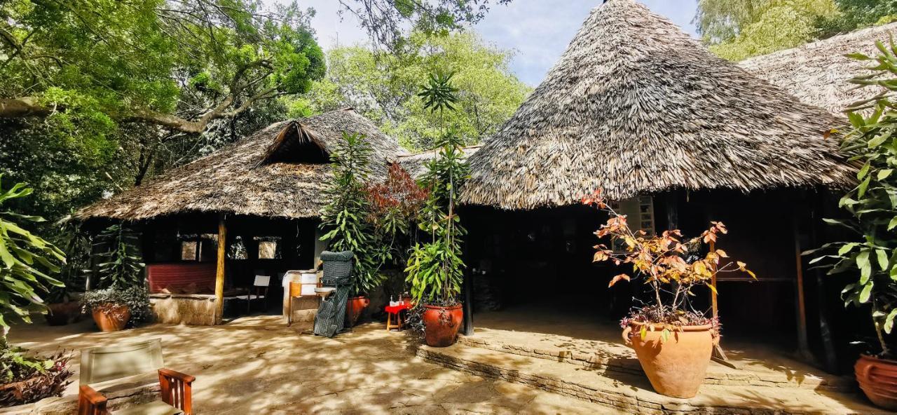 Fig Tree Camp - Maasai Mara Hotel Talek Eksteriør billede