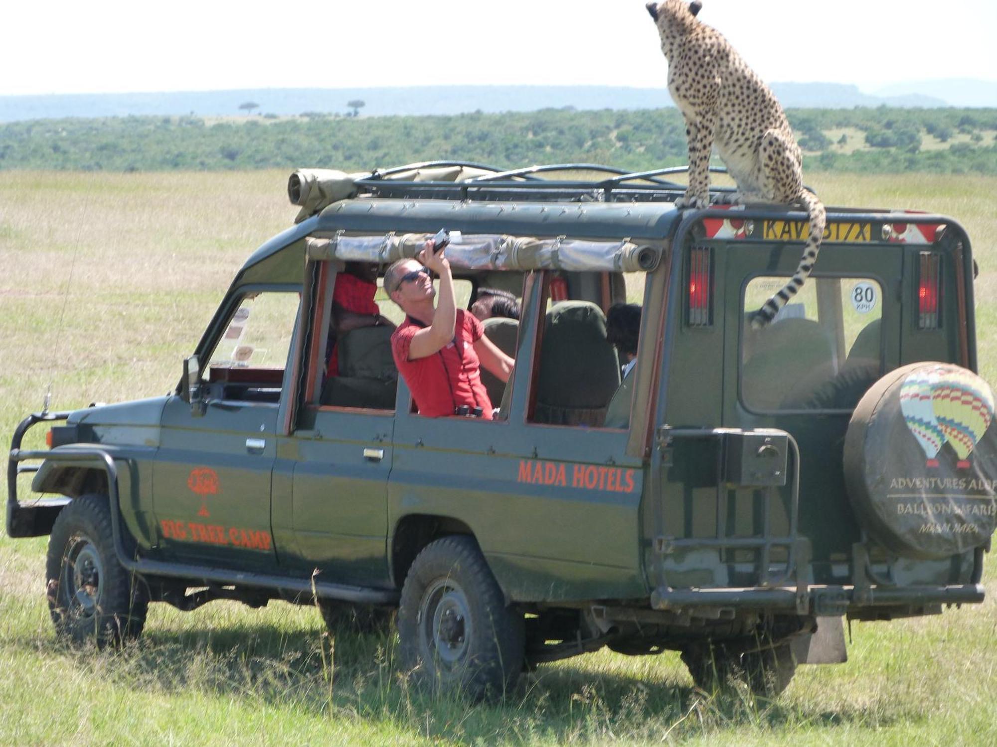 Fig Tree Camp - Maasai Mara Hotel Talek Eksteriør billede